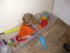 img_201101_small.jpg