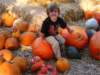 img_203501_small.jpg