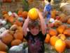 img_203701_small.jpg
