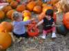 img_203801_small.jpg