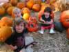img_203901_small.jpg