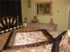img_248701_small.jpg