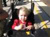 img_253901_small.jpg