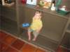 img_257601_small.jpg