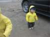 img_267101_small.jpg