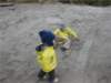 img_267801_small.jpg