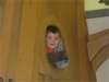 img_277601_small.jpg