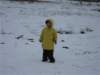 img_284901_small.jpg