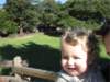 img_287501_small.jpg