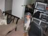 img_006301_small.jpg