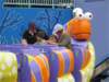 img_167601_small.jpg