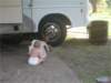 img_089001_small.jpg