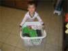 img_422001_small.jpg