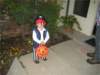 img_424101_small.jpg